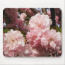 Pink Spring Tree Flowers Mouse Pad
