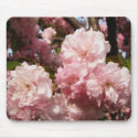 Pink Spring Tree Flowers mousepads