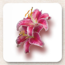 Pink Stargazer Lilies Beverage Coaster