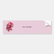 Pink Stargazer Lilies Bumper Sticker