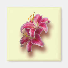 Pink Stargazer Lilies Fridge Magnets