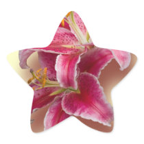 Pink Stargazer Lilies Sticker