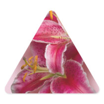 Pink Stargazer Lilies Triangle Stickers