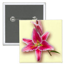 Pink Stargazer Lily and Bud