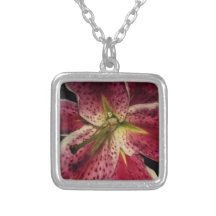 Pink Stargazer Lily Jewelry
