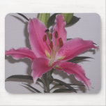 Pink Stargazer Lily Mousepad