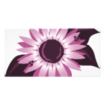 Pink Sunflower With Ladybugs photo cards