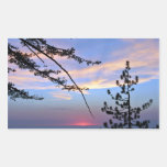 Pink sunset with pine trees and clouds rectangle sticker