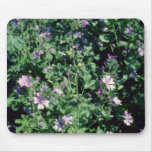 Pink Tall Mallow (Malva Sylvestris) flowers Mouse Pads