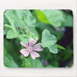Pink Tall Mallow (Malva Sylvestris) flowers Mousepads