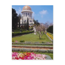 Pink The world centre of the Bahai faith, Haifa, I Postcard