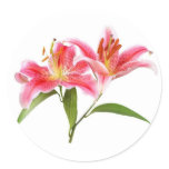 pink tiger lily - customisable stickers