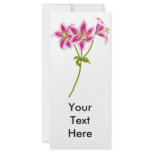 Pink Tiger Lily Rack Card rack cards