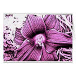 Pink Tigerlilly Greeting Cards