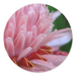 Pink Torch Ginger Wedding stickers