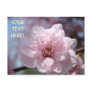 Pink Tree Blossoms Post Card Customize Text Spring