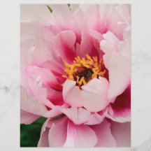pink tree peony personalized flyer