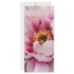 pink tree peony rack cards