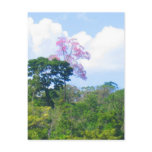 Pink Tree Post Cards