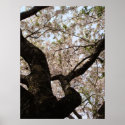 Pink Tree Print