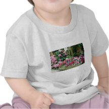 Pink Trough Planted With Busy Lizzies flowers Shirt