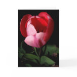 Pink Tulip Card