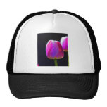 Pink Tulip Hats
