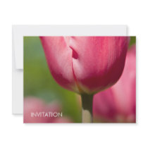 Pink Tulip Macro DSC0852 Personalised Invites