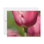 Pink Tulip Macro DSC0852 invitations