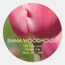 Pink Tulip Macro DSC0852 Round Stickers