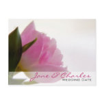 Pink Tulip • Order of the Day Postcard