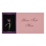 Pink Tulip Photo Card photo cards
