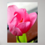 Pink Tulip Print