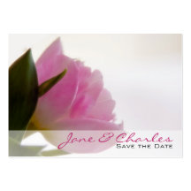 Pink Tulip • Save the Date Mini Card Business Card Templates