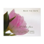 Pink Tulip • Save the Date Postcard