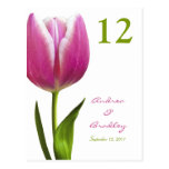 Pink Tulip Table Number Card Post Cards