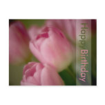 Pink Tulips Birthday Postcard