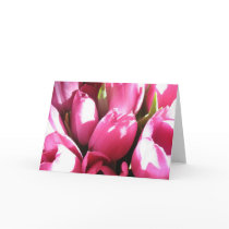 Pink Tulips Card