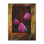 Pink Tulips-Framed