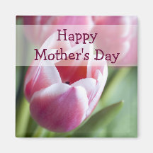 Pink Tulips, Mother's Day Magnets