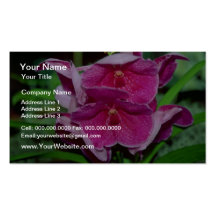 Pink Vanda flowers Business Card Template