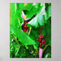 Pink Velvet Banana Tree Tropical Garden Collection posters