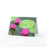Pink Water Lilies cards