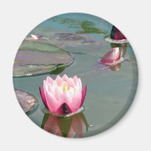 Pink water lily magnet