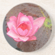 pink waterlily flower coaster