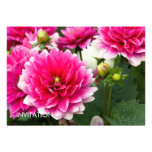Pink & White Dahlia Invitations