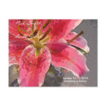 Pink & white Day Lily- Save the Date postcards