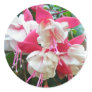 Pink & White Fuschia Stickers