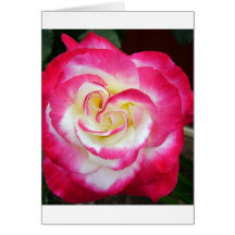 Pink & White Heart Rose 2 Greeting Card