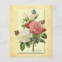 Pink White Vintage Botanical Roses Flyer Template